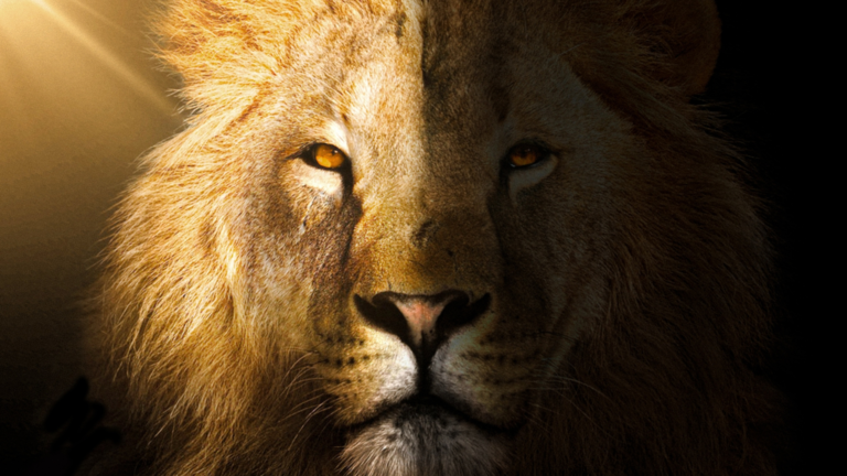 Leadership Is Alignment in Motion